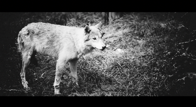 Screen Shot 2016-04-20 at 9.53.28 AM.png